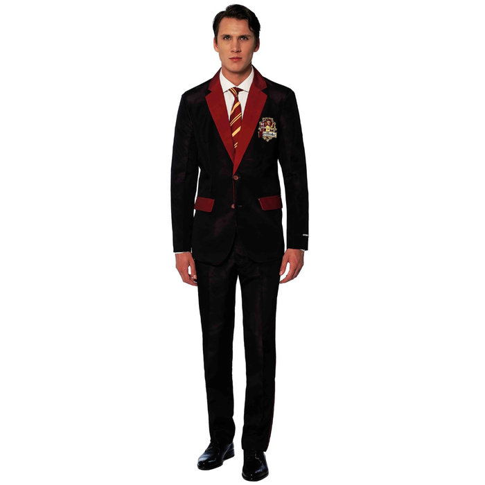 Kostüm Anzug Harry Potter Gryffindor