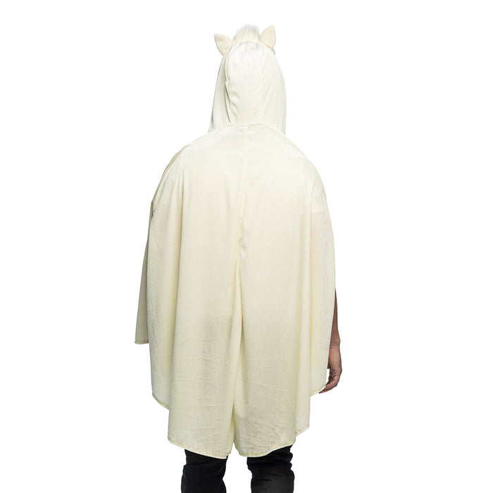 Poncho Lama